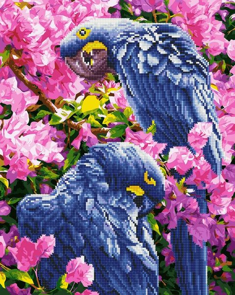 Алмазна картина розмальовка вишивка, Яскраві папуги, 40 x 50 см, BrushMe