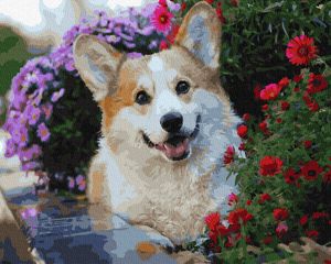 Картина по номерам, Акита в цветах 40 на 50 см, GX36083, БрашМи (BrushMe)
