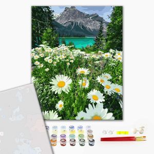 Картина по номерам, Ромашки у гор, Premium (цветной холст + лак), 40 x 50 см, БрашМи (BrushMe)